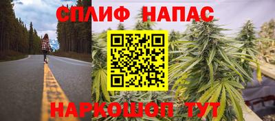 индика Нальчик
