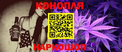индика Нальчик