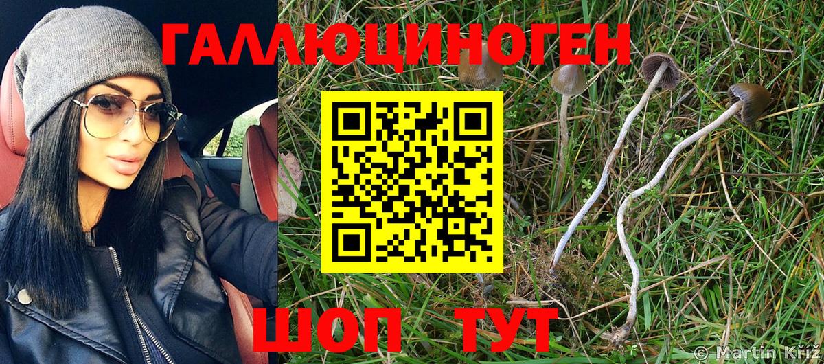 где продают   Псилоцибиновые грибы ЛСД  Псилоцибиновые грибы MAGIC MUSHROOMS  Вход с VPN  Северобайкальск 