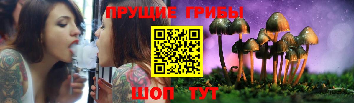 Псилоцибиновые грибы ЛСД Северобайкальск